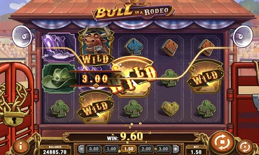 Bull in a Rodeo